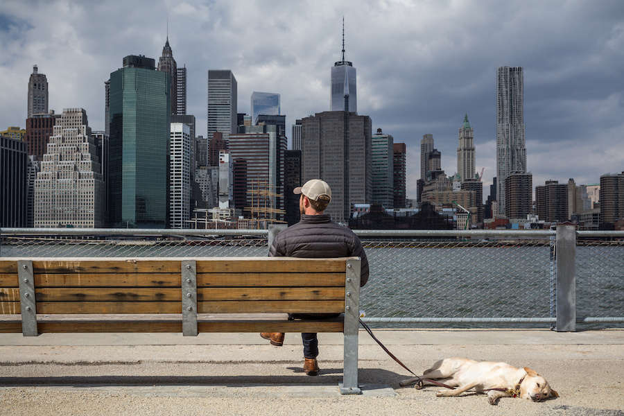 Dog friendly days out in New York