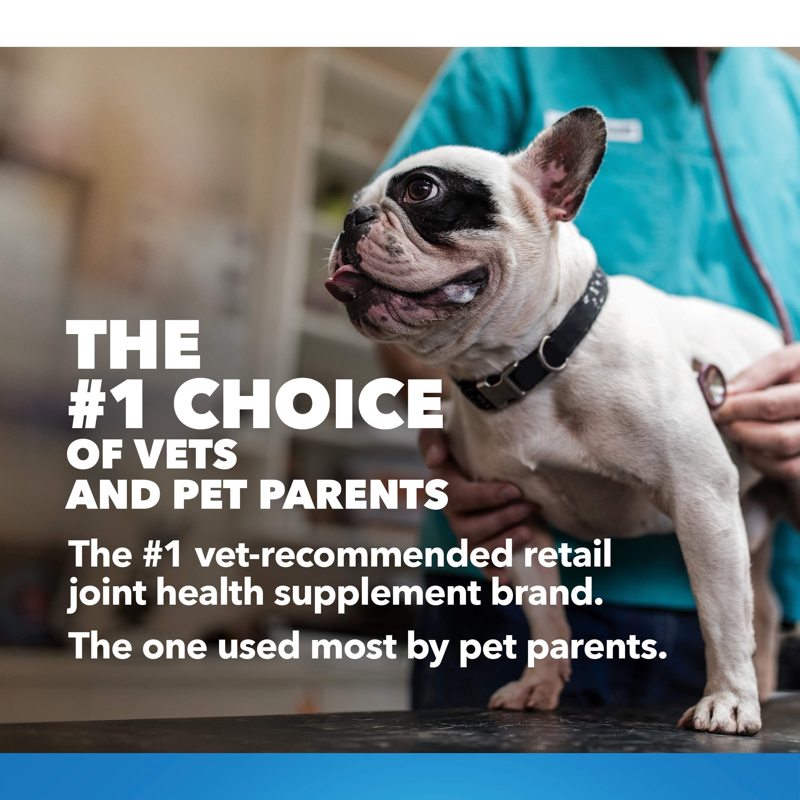 Nutramax Cosequin Maximum Strength Joint Health Supplement for Dogs 2 Nutramax Cosequin Maximum Strength Joint Health Supplement for Dogs Nutramax Cosequin Maximum Strength Joint Health Supplement for Dogs - Image 2