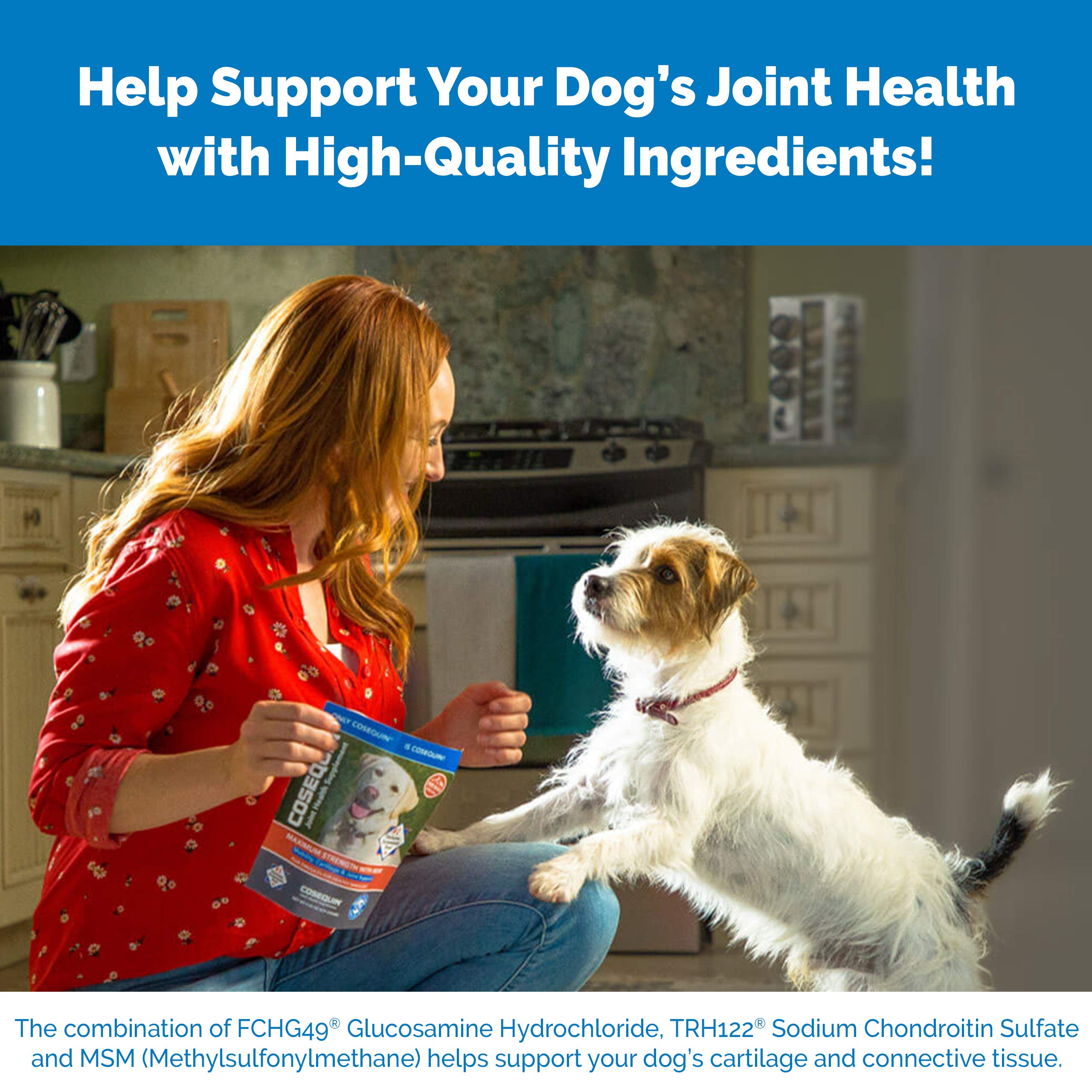 Nutramax Cosequin Maximum Strength Joint Health Supplement for Dogs 3 Nutramax Cosequin Maximum Strength Joint Health Supplement for Dogs Nutramax Cosequin Maximum Strength Joint Health Supplement for Dogs - Image 3